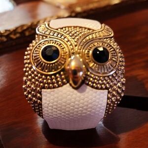 Vintage OWL Clampler Bracelet